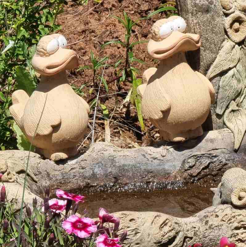 Garden Ducks